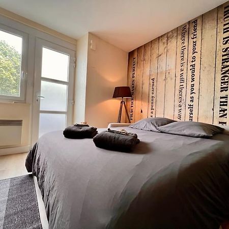 Appartement Climatise 4Prsn Au Pied De La Citadelle 贝桑松 外观 照片