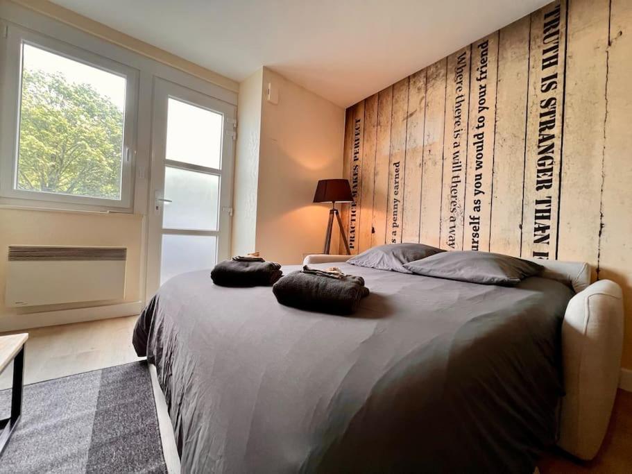 Appartement Climatise 4Prsn Au Pied De La Citadelle 贝桑松 外观 照片