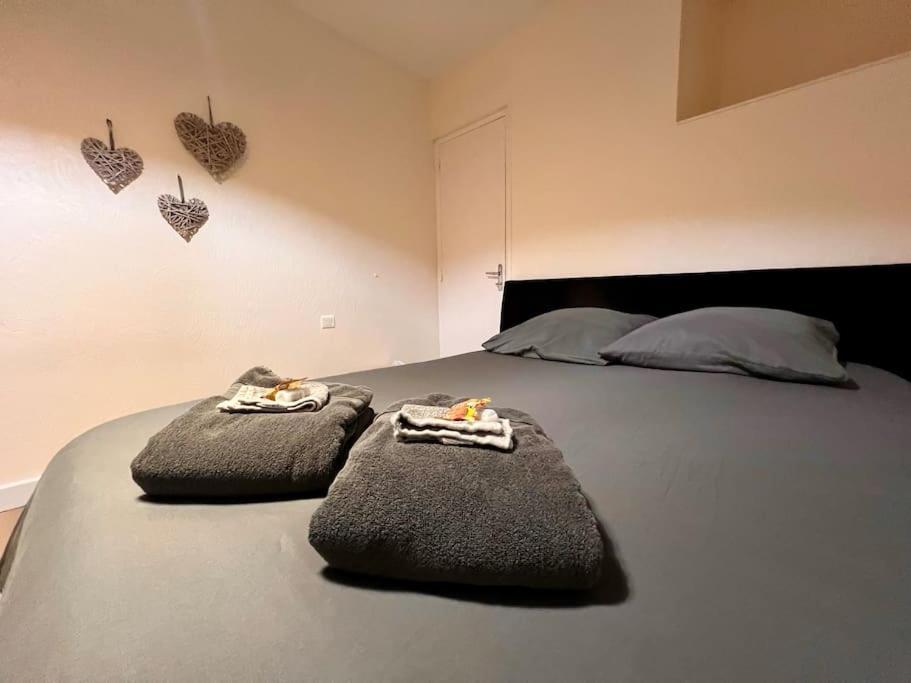 Appartement Climatise 4Prsn Au Pied De La Citadelle 贝桑松 外观 照片