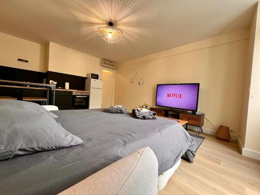 Appartement Climatise 4Prsn Au Pied De La Citadelle 贝桑松 外观 照片