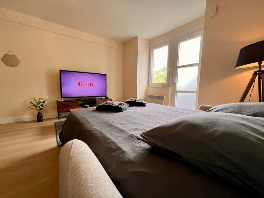 Appartement Climatise 4Prsn Au Pied De La Citadelle 贝桑松 外观 照片